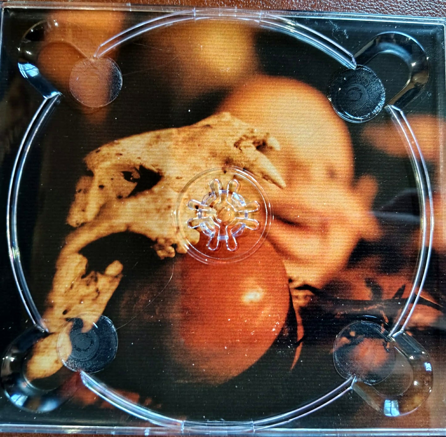 Down To Nothing EP - CD  (Limited Signed Release